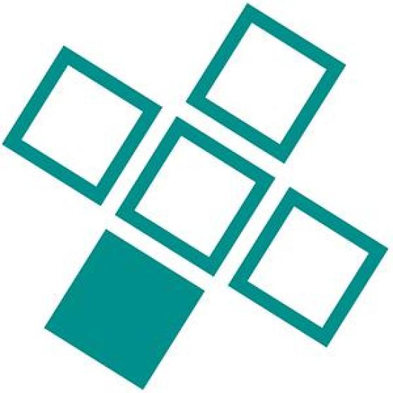 Developer TemplateRepro icon